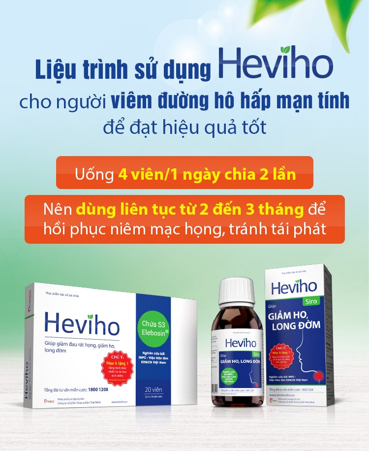 Thời gian đáp ứng của Heviho và cách dùng để đạt hiệu quả tốt với người bị viêm đường hô hấp mạn tí 1